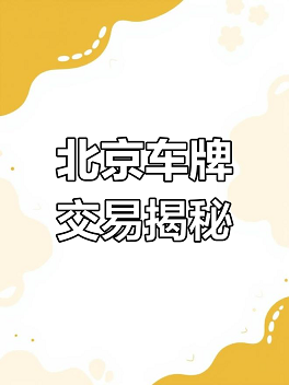 11.png